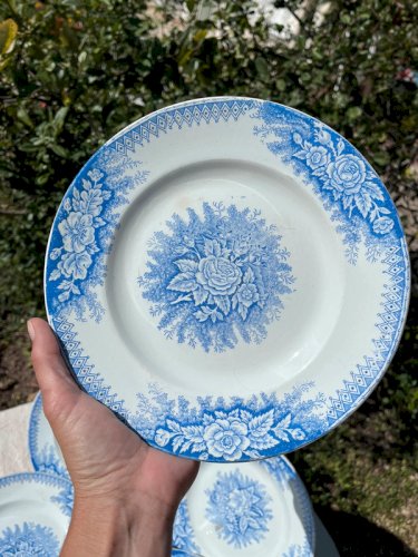 5 assiettes plates Saint-Amand et Hamage modèle Jardinière