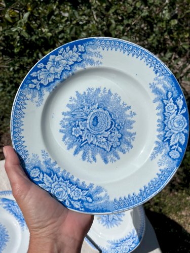 5 assiettes plates Saint-Amand et Hamage modèle Jardinière