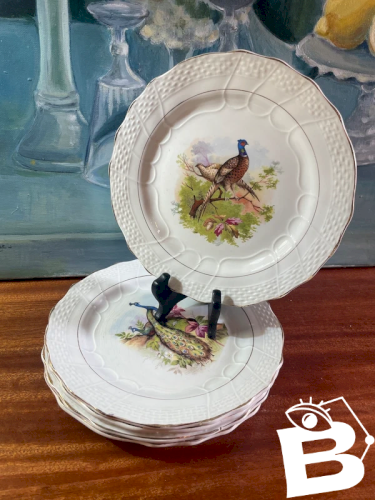 5 assiettes Terre de Fer faisans et paon