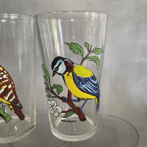 5 verre VMC Reims à décor d'oiseaux dt mésange troglodyte martin pécheur pic etc