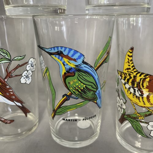 5 verre VMC Reims à décor d'oiseaux dt mésange troglodyte martin pécheur pic etc