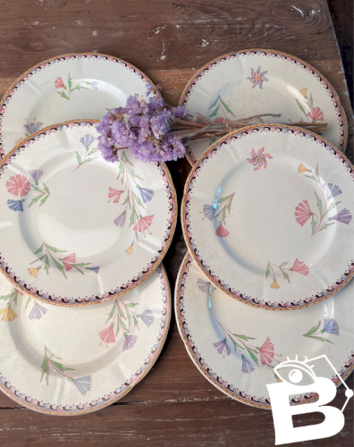 6 assiettes à dessert U&C Sarreguemines modèle Diogène