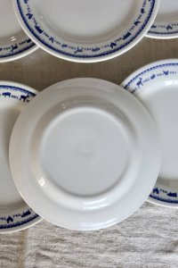 dot