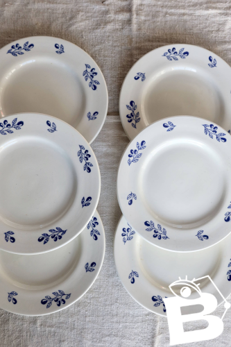 6 assiettes à dessert vintage faïence ivoire - Motif olives bleues
