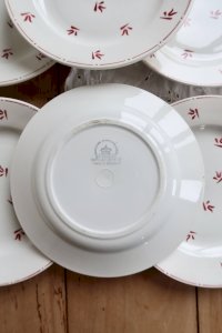 dot