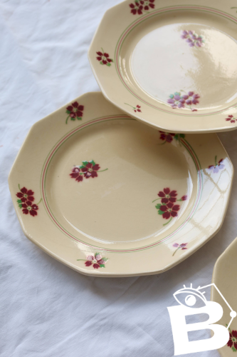 6 assiettes à dessert vintage Moulin des Loups - Faïence décor fleuri