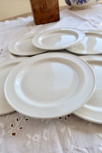 6 assiettes à dessert vintage porcelaine Steelite – Made in England