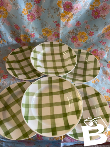 6 assiettes à soupes moulin des loups