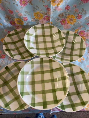 6 assiettes à soupes moulin des loups