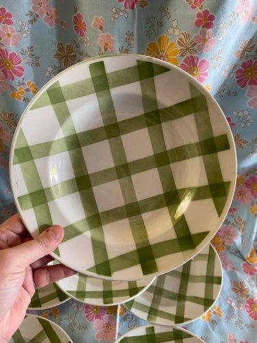 6 assiettes à soupes moulin des loups