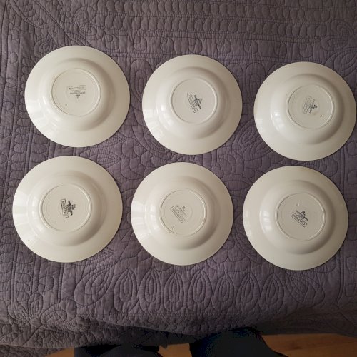 6 assiettes anciennes creuses Digoin Sarreguemines  modèle Champenois