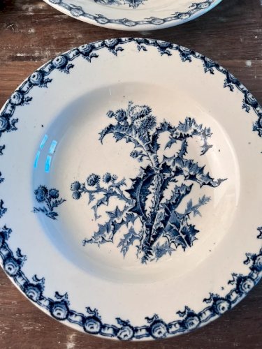6 assiettes creuses Gien 1878 modèle Chardons