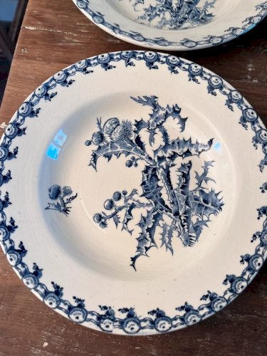 6 assiettes creuses Gien 1878 modèle Chardons