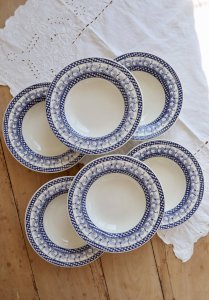6 vintage deep plates with blue goose vichy pattern