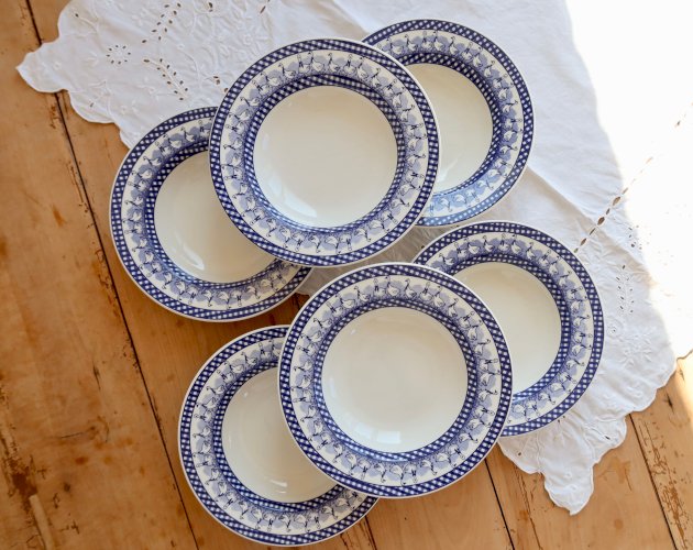 6 assiettes creuses vintage décor vichy oies bleues