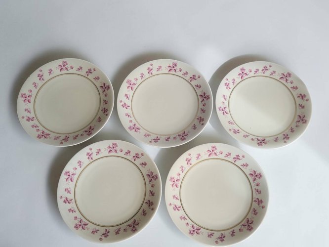 6 assiettes en porcelaine de Limoges - Raynaud & Cie