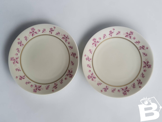 6 assiettes en porcelaine de Limoges - Raynaud & Cie