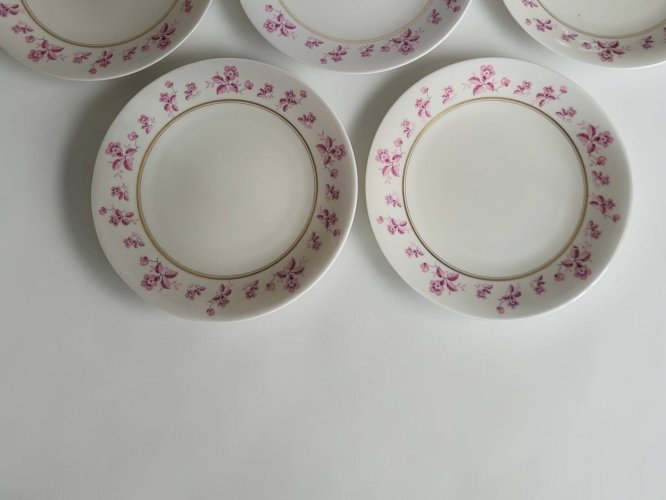 6 assiettes en porcelaine de Limoges - Raynaud & Cie