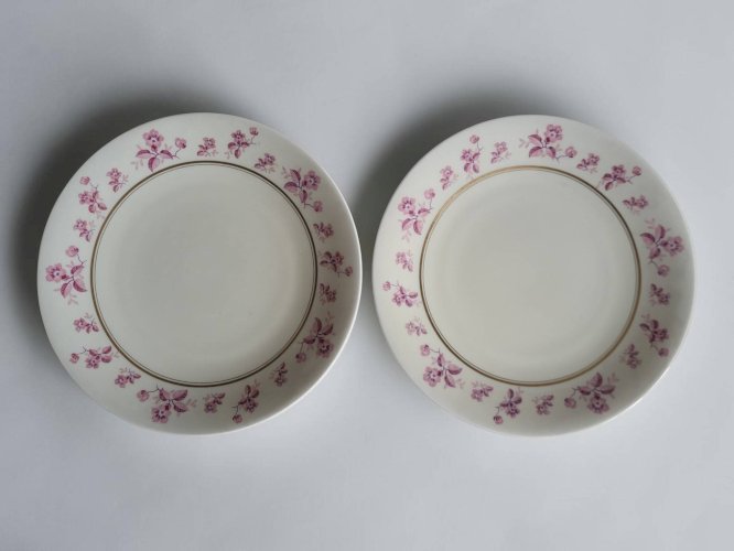 6 assiettes en porcelaine de Limoges - Raynaud & Cie