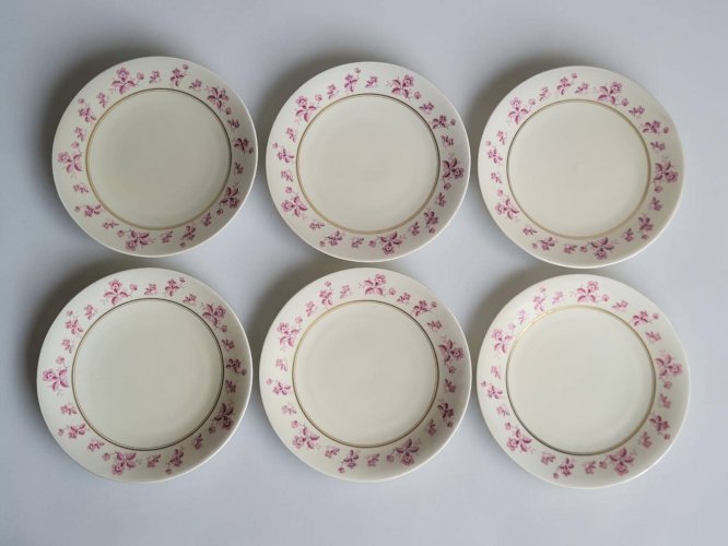 6 assiettes en porcelaine de Limoges - Raynaud & Cie