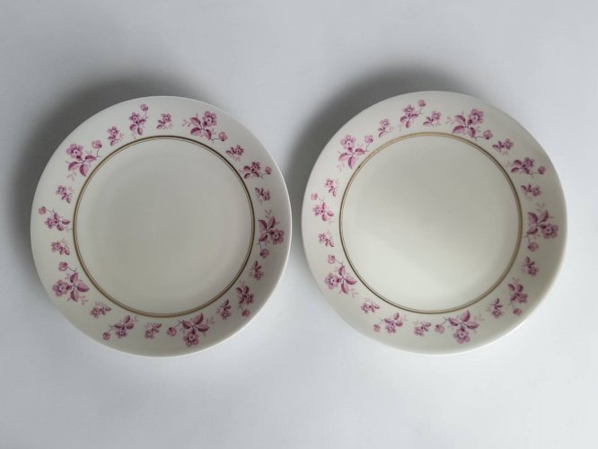 6 assiettes en porcelaine de Limoges - Raynaud & Cie
