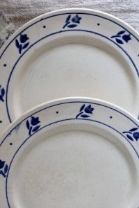 dot