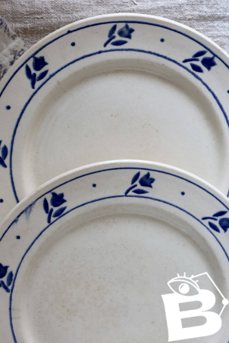6 assiettes plates anciennes en faïence à décor de tulipes bleues