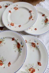 dot