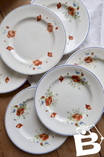 6 assiettes plates anciennes faience Salins - Modèle coquelicot