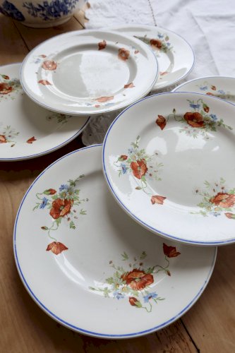 6 assiettes plates anciennes faience Salins - Modèle coquelicot