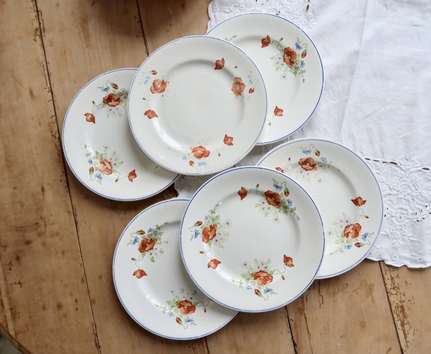 6 assiettes plates anciennes faience Salins - Modèle coquelicot