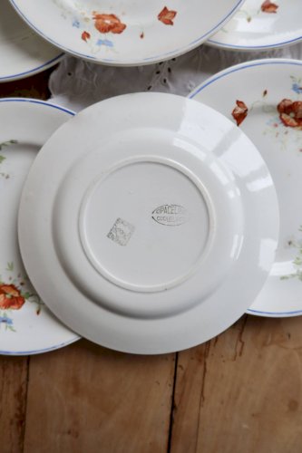 6 assiettes plates anciennes faience Salins - Modèle coquelicot