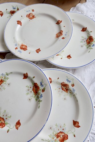 6 assiettes plates anciennes faience Salins - Modèle coquelicot