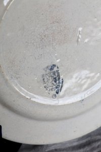 dot
