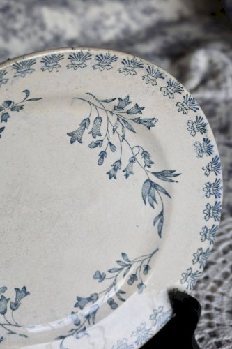 6 assiettes plates anciennes terre de fer ivoire et bleue - Manufacture de