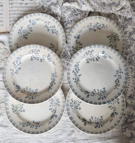 6 assiettes plates anciennes terre de fer ivoire et bleue - Manufacture de