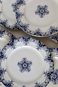 6 antique flat plates pottery Bordeaux Jules Vieillard and Longwy