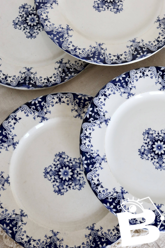 6 assiettes plates antiques faience Bordeaux Jules Vieillard et Longwy