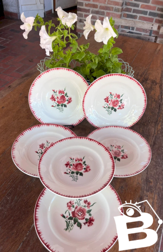 6 assiettes plates Digoin Sarreguemines modèle Yvette