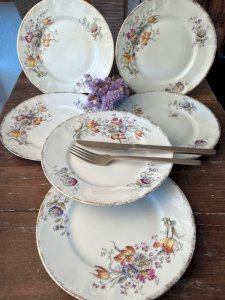 6 assiettes plates en porcelaine ancienne Limoges