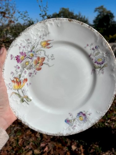 6 assiettes plates en porcelaine ancienne Limoges