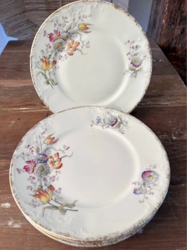 6 assiettes plates en porcelaine ancienne Limoges