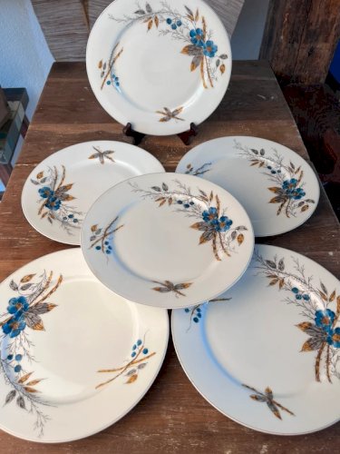 6 assiettes plates en porcelaine ancienne peinte