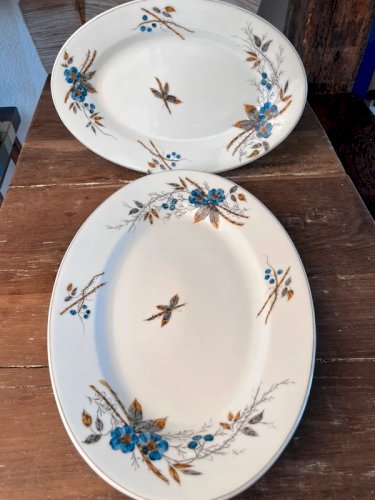 6 assiettes plates en porcelaine ancienne peinte