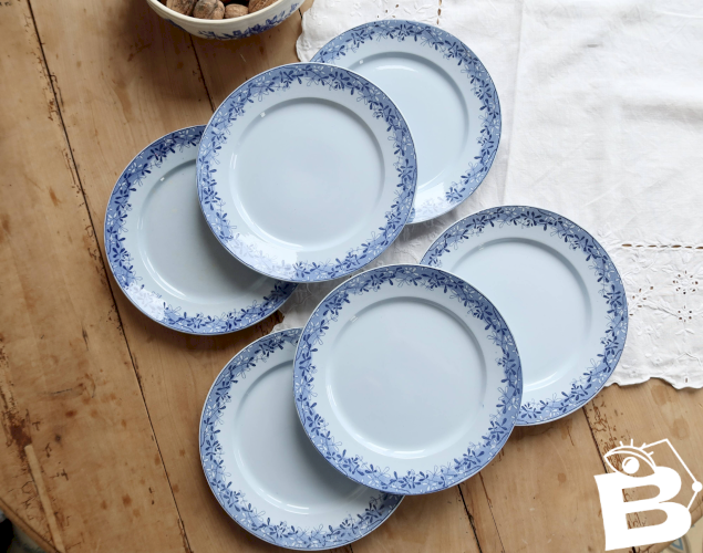 6 assiettes plates faïence anciennes Sarreguemines U&C modèle Mimosa bleu
