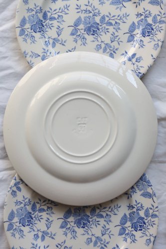 6 assiettes plates faïence vintage décor fleuri bleu romantique