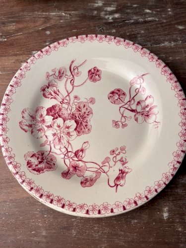 6 assiettes plates Gien 1878 modèle Capucines