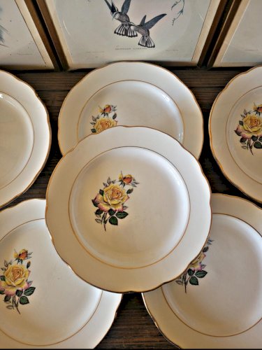6 assiettes plates Gien Gardanne, roses couleur jaune, liserés dorés