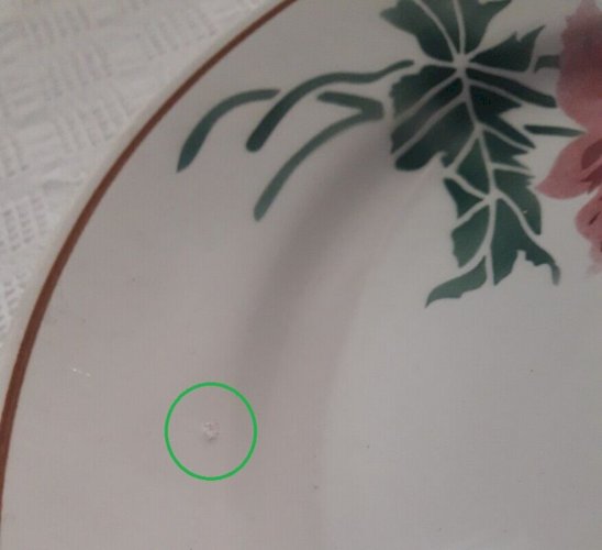 6 assiettes plates Luxeuil HBCM MONTEREAU FRANCE fleurs et feuillages