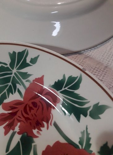 6 assiettes plates Luxeuil HBCM MONTEREAU FRANCE fleurs et feuillages